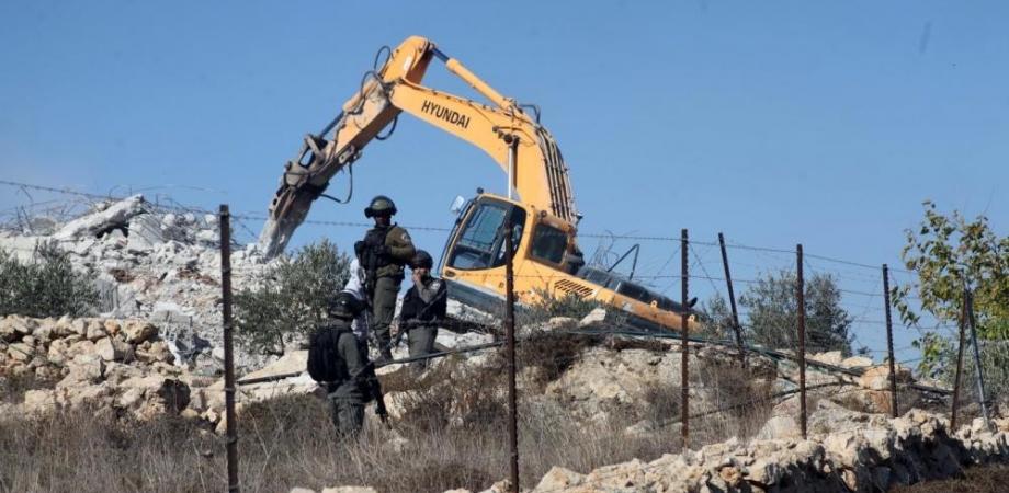 Pasukan Zionis Mencabut 300 Pohon Zaitun di Timur Nablus