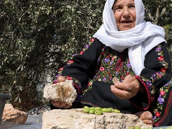 Karnaval Meriah di Ladang Saat Musim Panen Zaitun