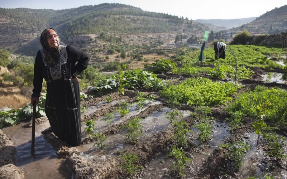 Pemukim Israel Mencoba Membangun Pos Terdepan Ilegal di Situs Warisan UNESCO Palestina