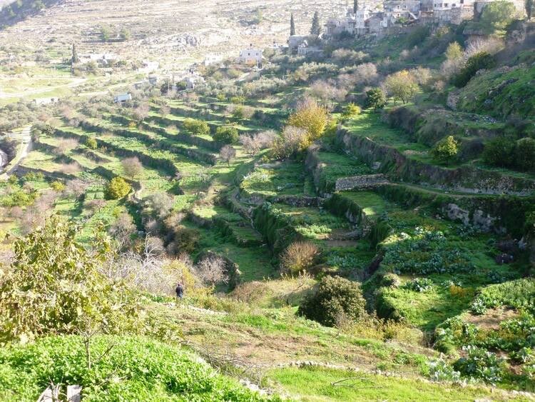 Battir: Permata Palestina yang Dicuri