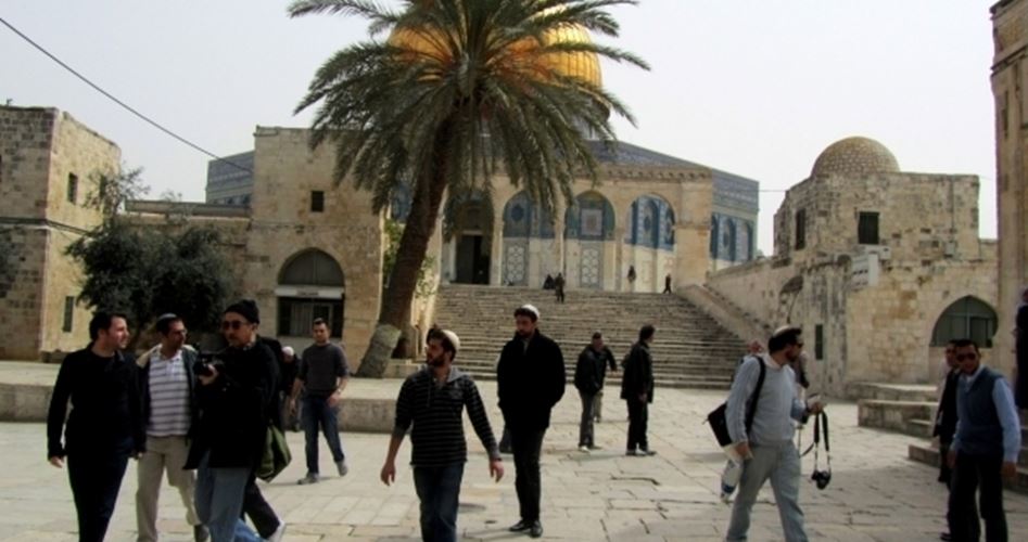 85 Pemukim Menyerbu Masjid Al-Aqsa