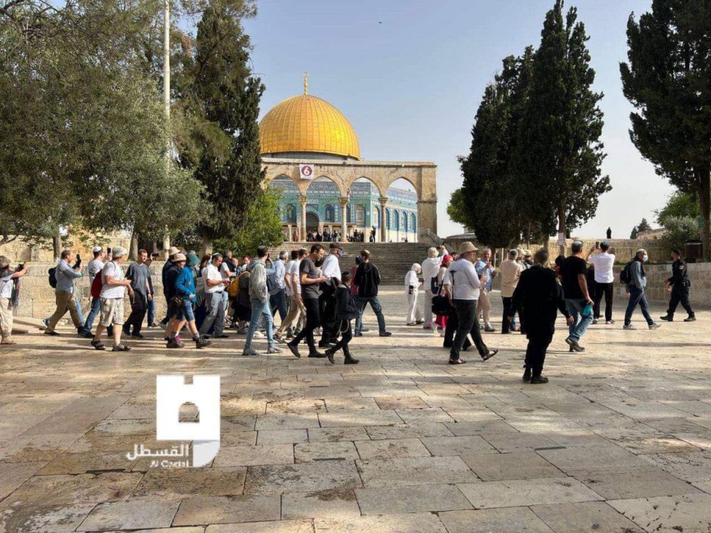 Sebanyak 622 Pemukim Kolonial Israel Masuk ke Masjid Al-Aqsa pada Hari ke-3 Pesach