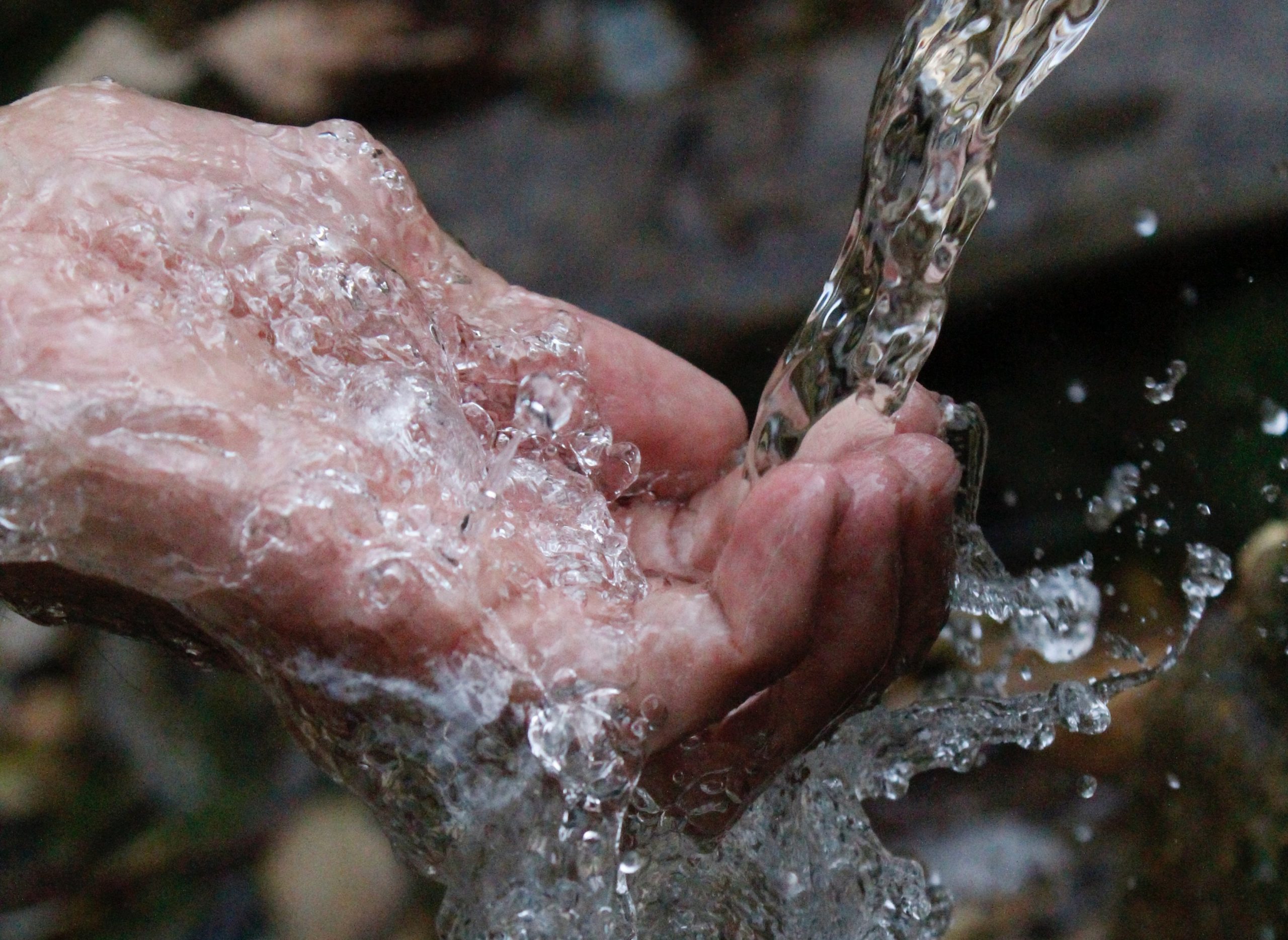Hari Air Sedunia dan Nasib Palestina