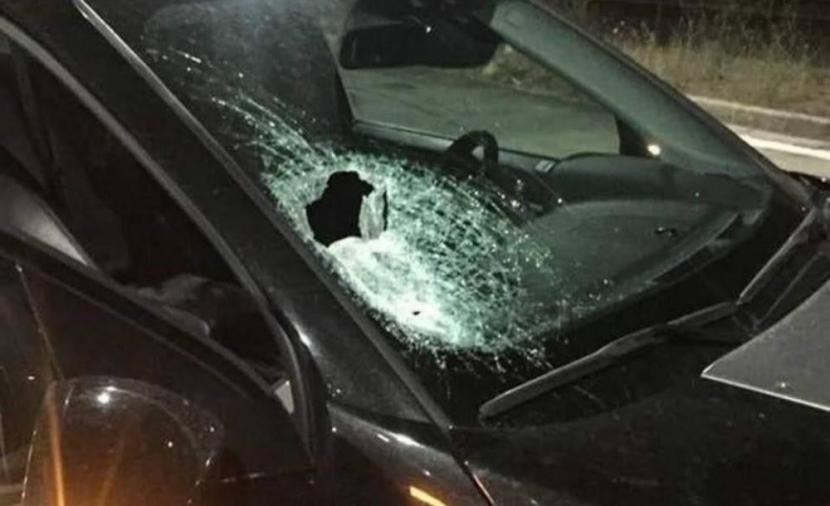 Seorang Penduduk Palestina dan Putrinya Terluka dalam Serangan Pemukim di Al-Jiftlik