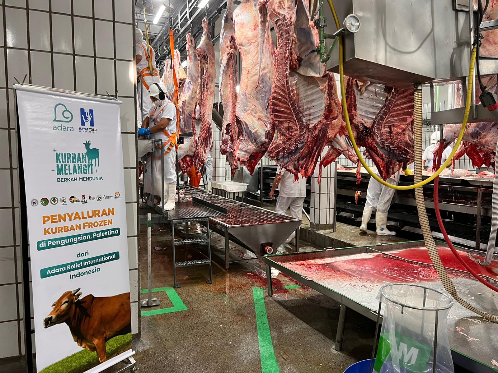 Kurban Frozen Telah Disembelih