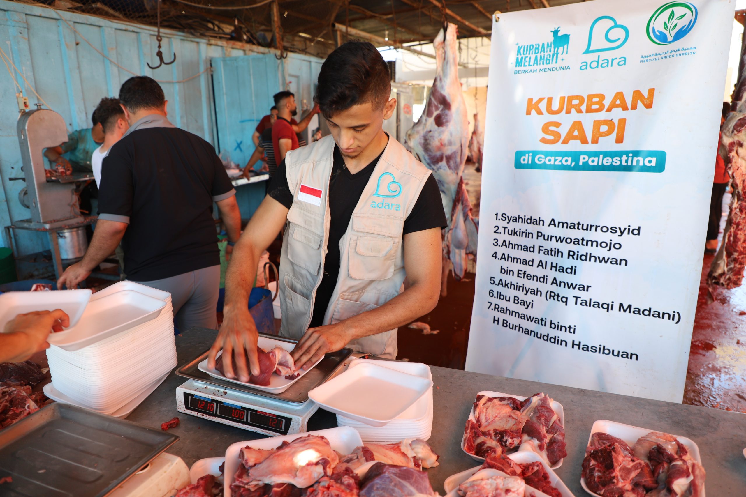 Sapi Gaza Telah Disembelih (Tahap III)