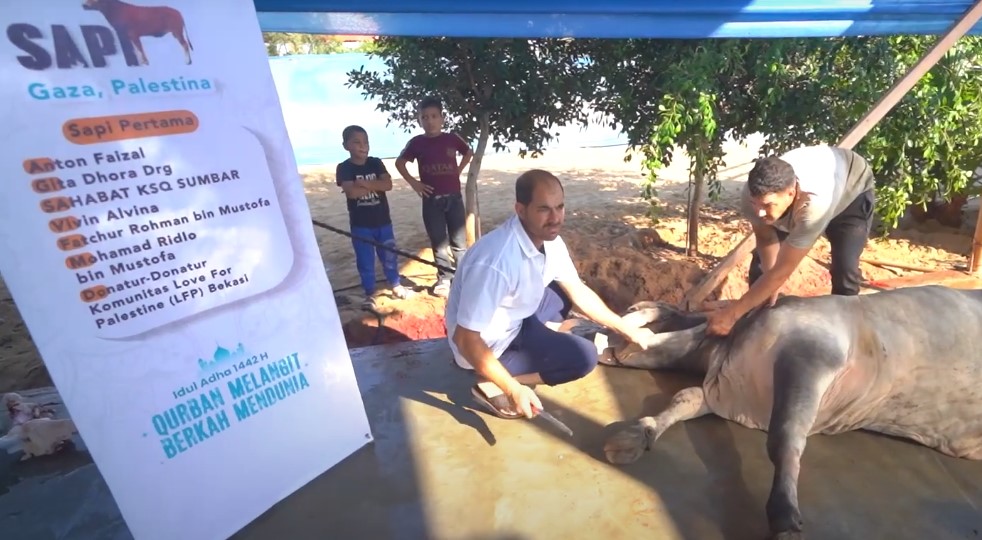 Kenapa Kurban di Palestina?