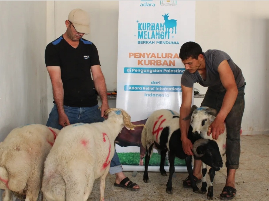 KAMBING TELAH DISEMBELIH DI PENGUNGSIAN PALESTINA (Tahap IV)