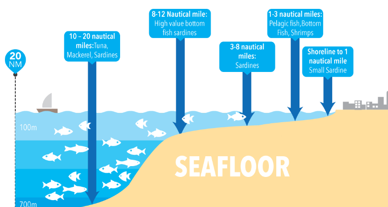 Jenis Tangkapan Ikan Menurut Kedalaman Laut dan Jarak Pantai