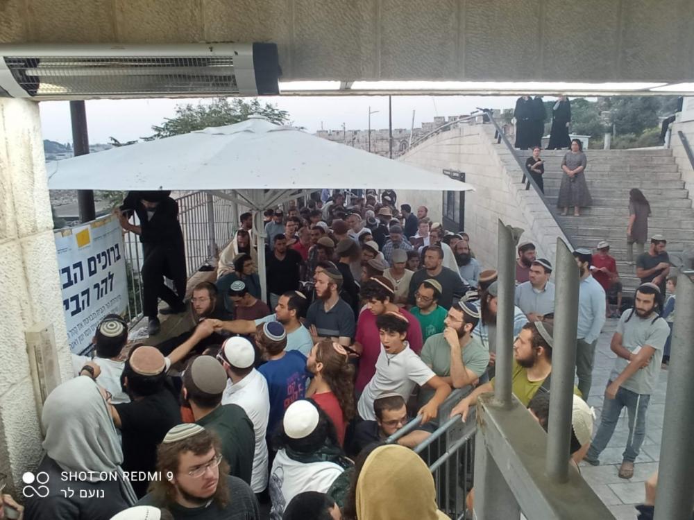 Ratusan Pemukim Serbu Al-Aqsa pada Peringatan Hari Penghancuran Kuil