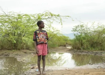 1 dari 3 Anak di Dunia Terdampak Krisis Iklim Ekstrem