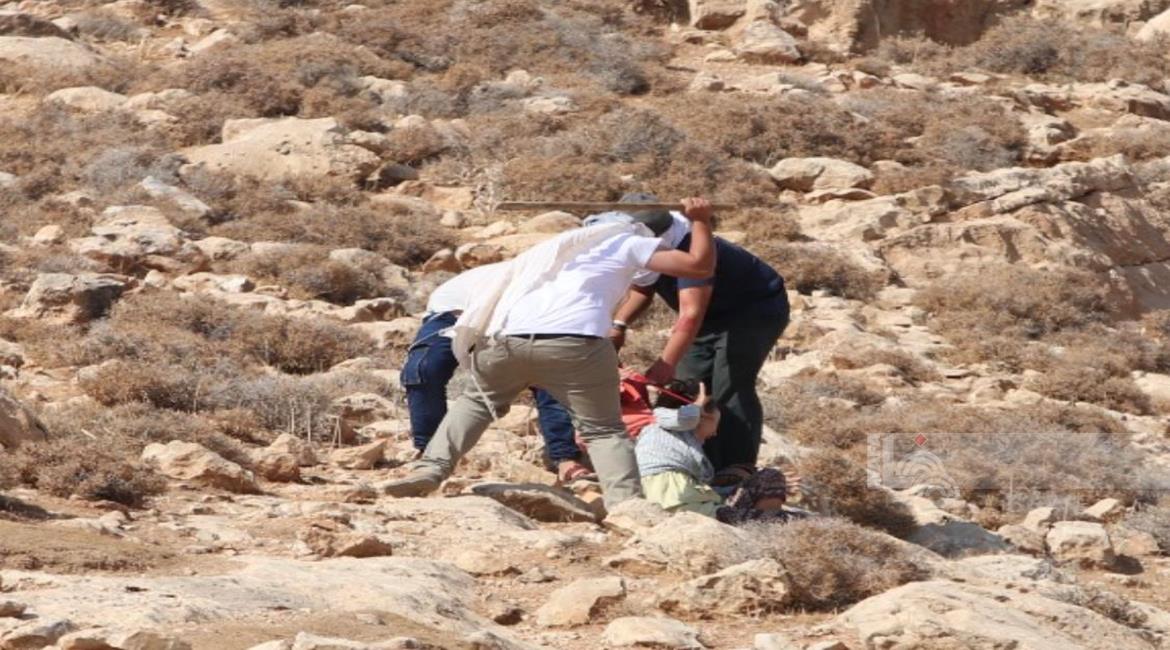 Israel Tikam Relawan Asing yang Membantu Panen Zaitun