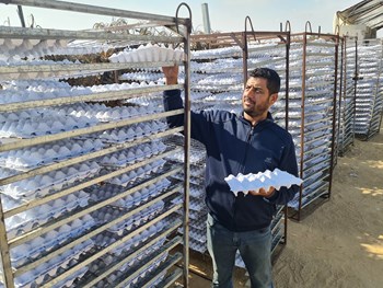 Lawan Pengangguran, Pemuda Gaza Ubah Sampah Kertas jadi Sumber Pendapatan