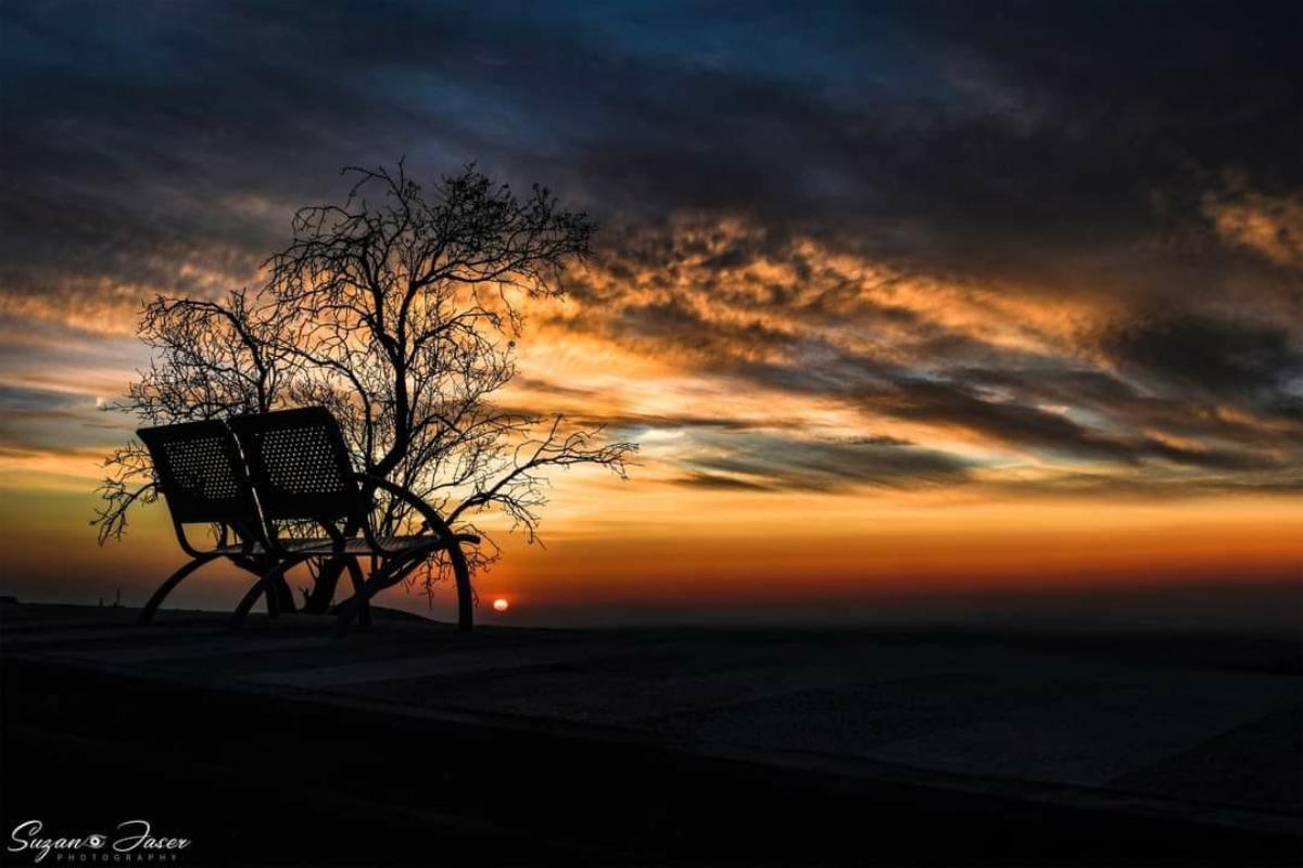 Mahasiswi Palestina di Universitas Terbuka Al-Quds, Suzan Jaser, menerima hadiah sebagai Fotografer Arab Terbaik di Dunia untuk fotonya yang berjudul "Kenangan" pada kompetisi Penghargaan Prestasi The Arabs Group. Patut dicatat bahwa The Arabs Group di London, organisasi