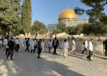 Ekstremis Yahudi Serbu Al-Aqsa dan Tebang 2.000 Pohon Zaitun di Tanah Milik Palestina
