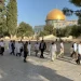 Ekstremis Yahudi Serbu Al-Aqsa dan Tebang 2.000 Pohon Zaitun di Tanah Milik Palestina