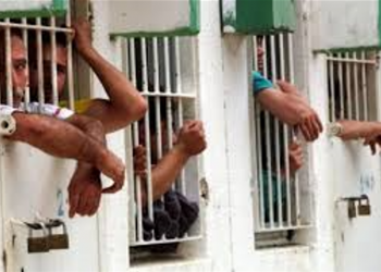 Israel Menahan 6000 Warga Palestina  Sejak Awal 2022 