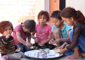 PBB: Krisis Kelaparan Memburuk, Malnutrisi Meningkat 