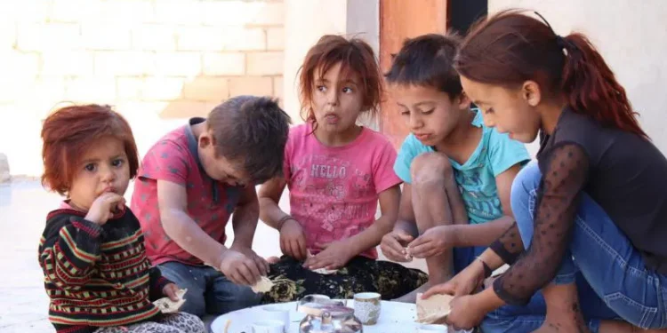 PBB: Krisis Kelaparan Memburuk, Malnutrisi Meningkat 