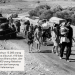 Nakba, Malapetaka yang Terus Berlangsung