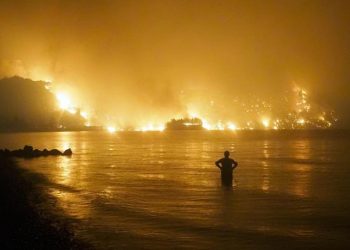 WHO: 15 Ribu Orang di Eropa Meninggal Karena Cuaca Panas