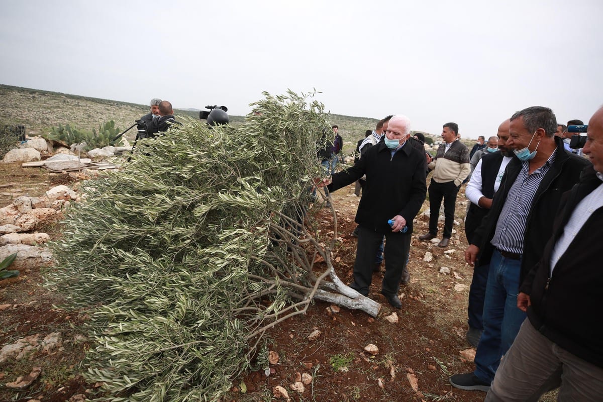 SALFIT, WEST BANK - JANURAY 13: Palestinians gather in Deir Ballut town of Salfit Governorate, to attend an event to plant olive saplings on the land where olive trees were uprooted by Jewish settlers, in West Bank on January 13, 2021. ( Issam Rimawi - Anadolu Agency )