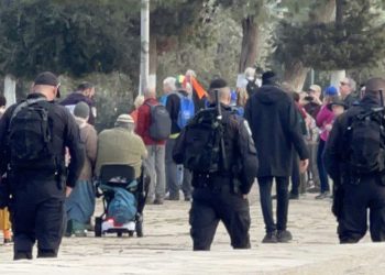 230 Pemukim Israel Serbu Masjid Al-Aqsa