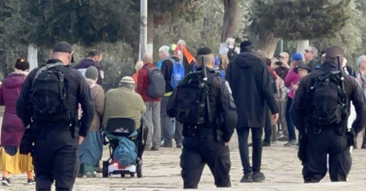 230 Pemukim Israel Serbu Masjid Al-Aqsa