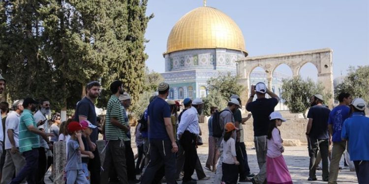 50.000 Yahudi Serbu Masjid Al-Aqsa sepanjang 2022