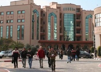 Dokter Palestina Raih Peringkat Pertama di Ujian Spesialis Ortopedi Tingkat Arab