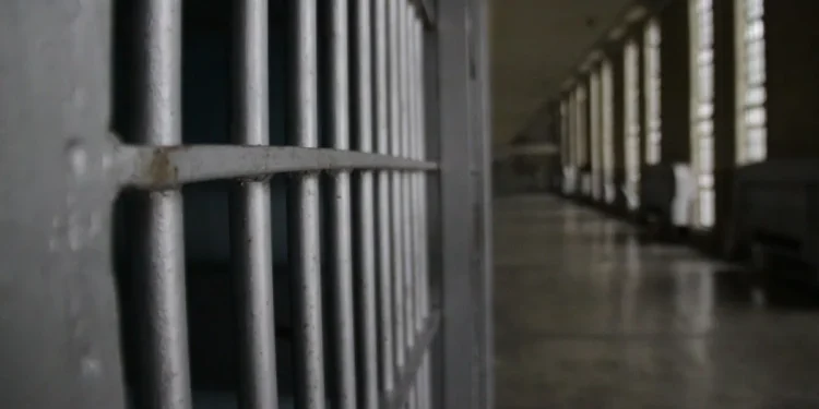 Gadis Palestina Kunjungi Saudaranya di Penjara Isarel, Malah Ditahan