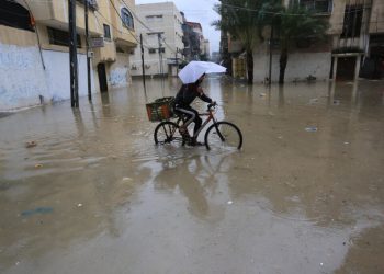 Inilah Perbedaan Iklim di Gaza Dulu dan Sekarang 