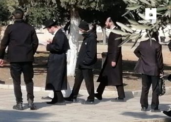 Ratusan Pemukim Israel Serbu Masjid Al-Aqsa