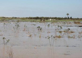 Sengaja Buka Saluran Air, Israel Perparah Banjir di Gaza