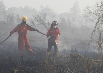 Belum Sebulan 2023,  BNPB Catat 81 Kali Kejadian Bencana