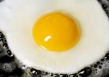 Cegah Stunting: BKKBN Anjurkan Konsumsi Satu Butir Telur Sehari