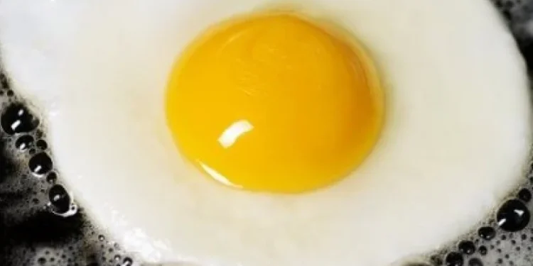 Cegah Stunting: BKKBN Anjurkan Konsumsi Satu Butir Telur Sehari