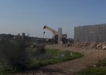 Israel Bangun Tembok Apartheid Baru, Ribuan Hektar Lahan Petani Palestina Terampas