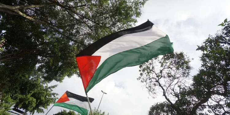 Pengungsi Palestina Melawan Keterbatasan dengan Mengembangkan Kamera Bawah Air 