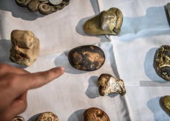 Warga Palestina Temukan Sajjil, Batu yang Disebutkan di dalam Surat Al-Fiil