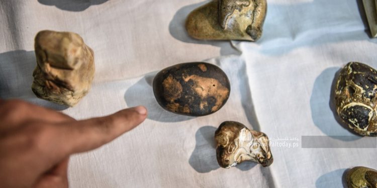 Warga Palestina Temukan Sajjil, Batu yang Disebutkan di dalam Surat Al-Fiil