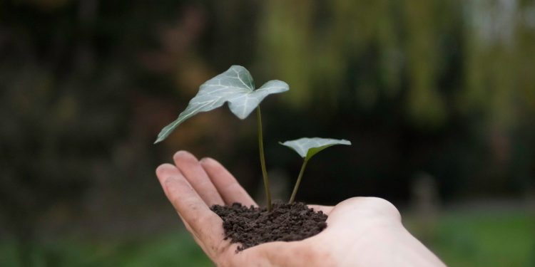 Perubahan Iklim Akibatkan Lonjakan Kerawanan Pangan Akut di Madagaskar