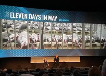 Film Dokumenter 11 Days in May Menangkan Penghargaan Festival Film Tournai Ramdam