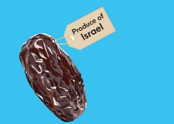 Israel Mengimpor Kurma ke Seluruh Dunia: Jangan Beli Kurma Israel!