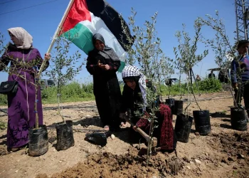 Jumlah Permukiman dan Agresi terhadap Penduduk Palestina Meningkat pada 2022, Berikut Rinciannya