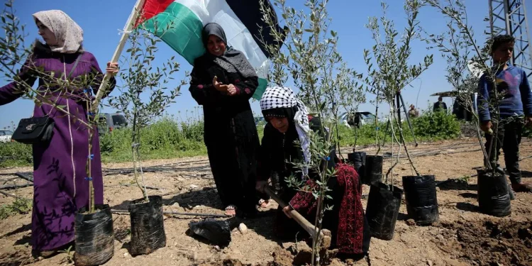 Jumlah Permukiman dan Agresi terhadap Penduduk Palestina Meningkat pada 2022, Berikut Rinciannya