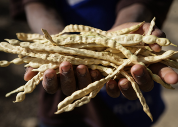 Lebih dari 7 Juta Anak akan Kelaparan Akut di Sahel Tengah pada Pertengahan 2023