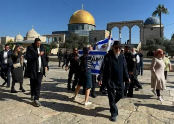 Pemukim Israel di Tepi Barat Beramai-ramai Membeli Senjata, Ini Tujuannya