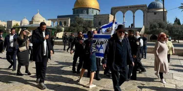 Pemukim Israel di Tepi Barat Beramai-ramai Membeli Senjata, Ini Tujuannya