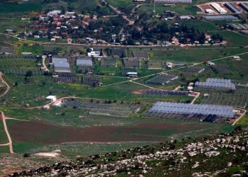 Darurat! Israel Akan Sita Ribuan Lahan Pertanian Palestina di Lokasi-lokasi Berikut Hanya untuk Membangun Jalan Bagi Pemukim